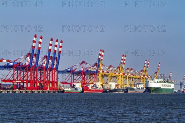 Various container cranes and ships at a busy seashore port, The cranes of the Bremen industrial port