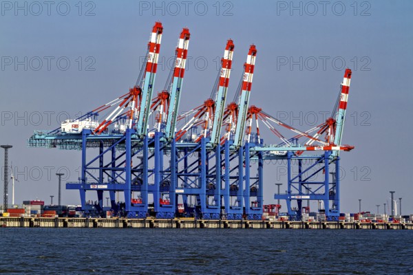 Row of blue and red harbor cranes, containers in the background, calm water, The cranes of the Bremen industrial port