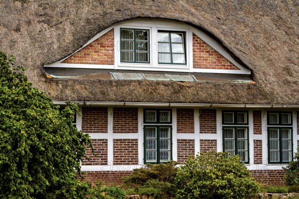 Traditional thatched house with brick walls and several windows, surrounded by green vegetation, The façade of a historic thatched house near Stade