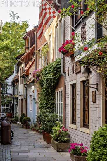 Picturesque old town alleyway with historic houses, surrounded by plants and flowers in a quiet atmosphere, historic district in Bremen