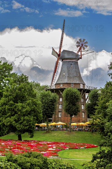 Historic windmill surrounded by blooming flowers and trees under a cloudy sky, An old historic windmill near Bremen