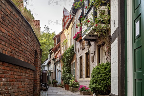 Narrow old town alleyway next to a brick wall, lined with charming houses and an idyllic atmosphere, historic district in Bremen