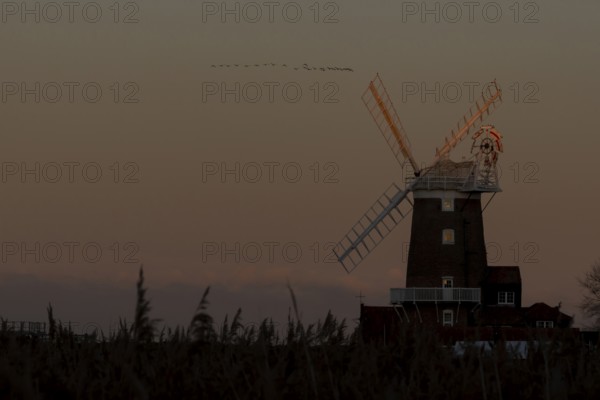 Geese in a flock or skein flying above a windmill in winter, Cley-next-to-the sea, Norfolk, England, United Kingdom