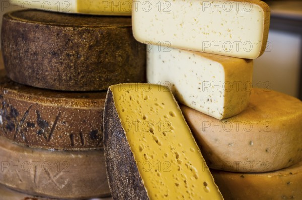 Cheese, hard cheese, organic cheese, Black Forest, Baden-Württemberg, Germany