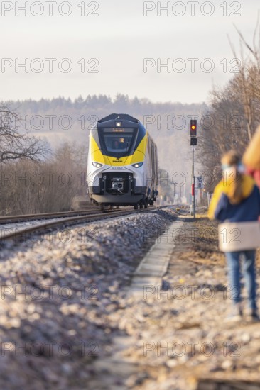 A yellow train travels on rails through a rural area with trees and people on the side of the road, fire department exercise at the Hermann Hesse Railway, Ostelsheim, Calw district, Germany