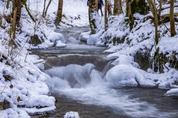 Small watercourse in winter with ice floes and mossy stones, Brühlbach below Urach Waterfall, Bad Urach, Swabian Alb, Baden-Württemberg, Germany