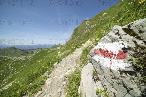Trail marker on the Laufbacher-Eckweg, a demanding high-altitude hiking trail from Höfatsblick mountain station to Oytal, Allgäu Alps, Allgäu, Bavaria, Germany