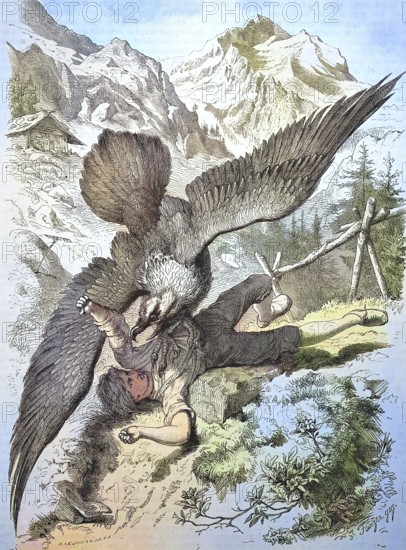 A vulture attacks a boy, historical illustration of animal life in the alpine world/A vulture attacks a boy, historical illustration of the animal life in the alpine world, historical, digitally restored reproduction of an original original from the 19th century, exact original date not known, subsequently colored