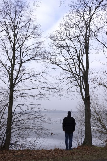 View of a frozen lake, trees in the foreground, winter, Germany