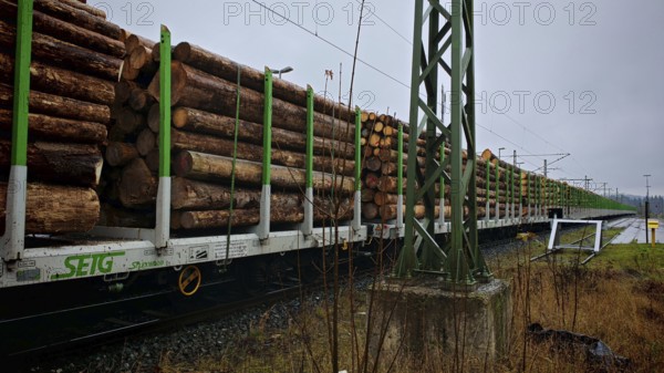 Removal of Franconian spruces (picea) destroyed by the bark beetle (Scolytinae) by goods train, train loaded with large logs on a track under grey skies, Franconian Forest nature park Park