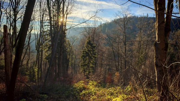 View of wooded landscape with mountains in the background and sun in the sky, Franconian Forest nature park Park