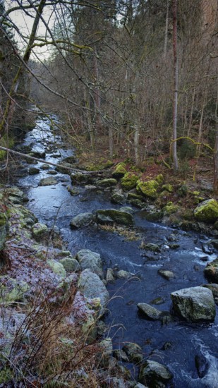 Small river in the forest with rocks and moss-covered trees along the shore, Frankenwald nature park Park