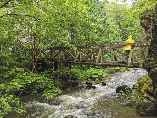 Person wearing a yellow raincoat on a wooden bridge over a river in a green forest, Frankenwald nature park Park