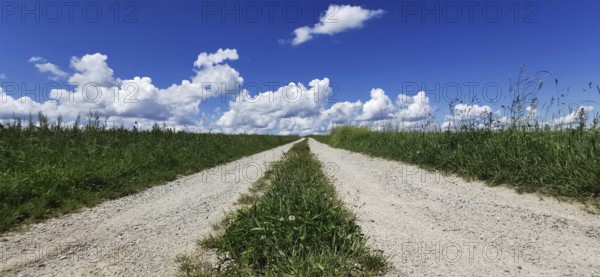 A long dirt road leads through a vast green landscape under blue skies, Franconian Forest nature park Park