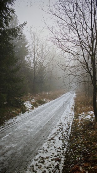 Snowy, icy trail through a foggy, quiet winter forest, Franconian Forest nature park Park