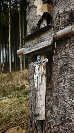 A crucifix is attached to a tree in a forest, symbolizing quiet religiosity in nature, Frankenwald nature park Park