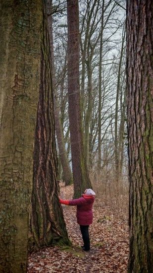 Person wearing a red jacket hugging a large tree in a low-light forest scene, Frankenwald nature park Park
