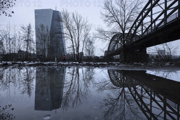 The European Central Bank (ECB) in Frankfurt is reflected in a puddle on the banks of the Main, Frankfurt am Main, Hesse, Germany