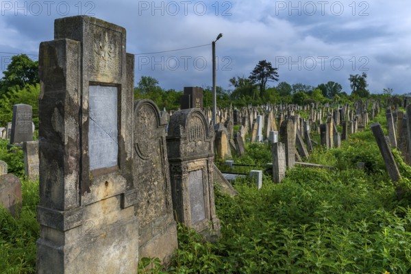 Jewish cemetery, Czernowicz, Bukovina, Ukraine