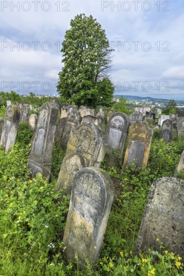 Historic Jewish Cemetery, since 1866, Czernowicz, Bukovina, Ukraine