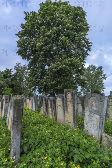 Jewish cemetery, since 1866, Czernowicz, Bukovina, Ukraine