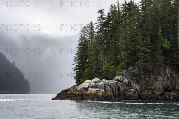 Rocky coast with coniferous forest, coastal landscape, mystical cloud-covered mountains, Kenai Fjords National Park, Kenai Peninsula, Alaska, USA
