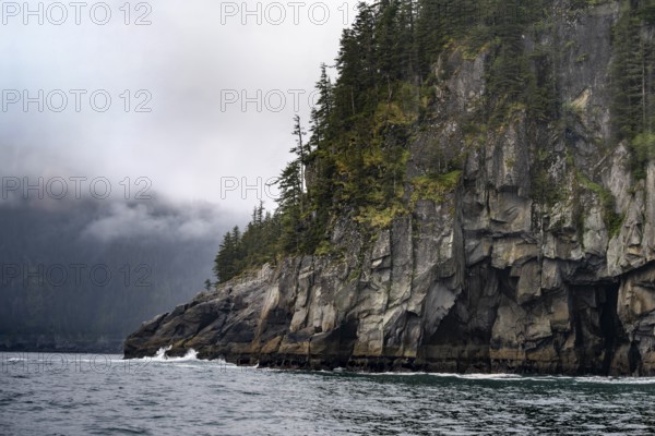 Mystical fog sweeps around rocky coast, Kenai Fjords National Park, Kenai Peninsula, Alaska, USA