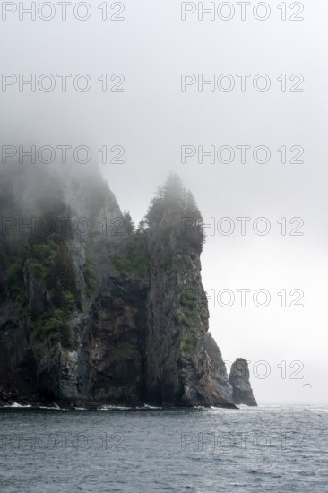 Mystical fog sweeps around rocky islands on the coast, Kenai Fjords National Park, Kenai Peninsula, Alaska, USA
