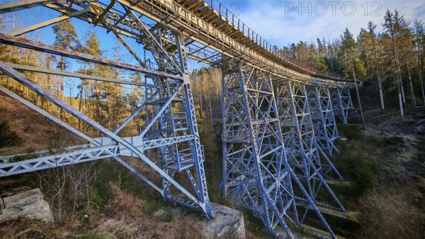 Side view of an extended metal bridge, old railroad bridge leading through a forest, Ziemestalbrücke, Thuringian Forest