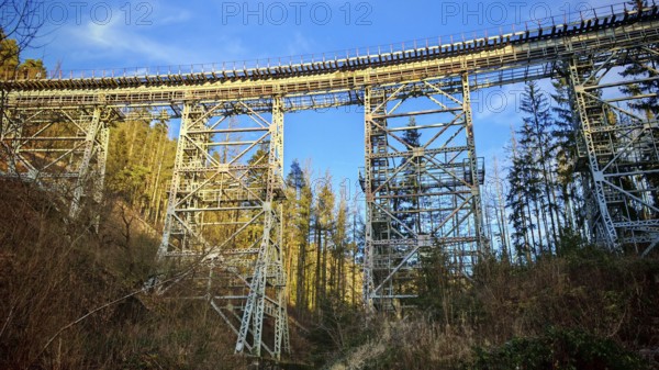 Towering metal bridge old railway bridge over a forest, illuminated by the sun, Ziemestalbrücke, Thuringian Forest
