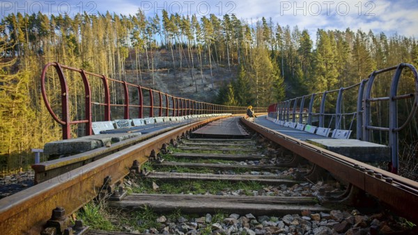 A person sits on long railroad tracks on a railroad bridge that runs in thick forest, Ziemestalbrücke, Thuringian Forest