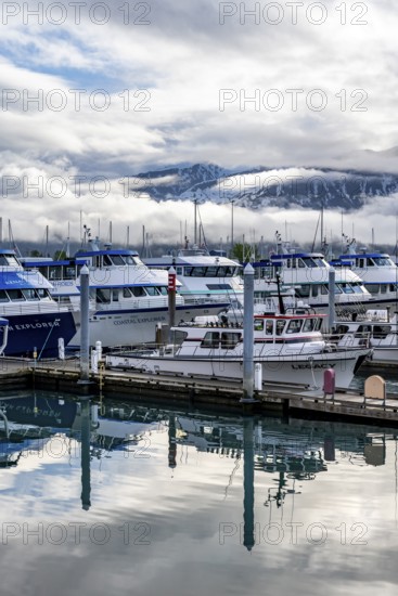 Boats in harbor, cloudy mountain peaks behind, with reflection, Seward, Kenai Peninsula, Alaska, USA