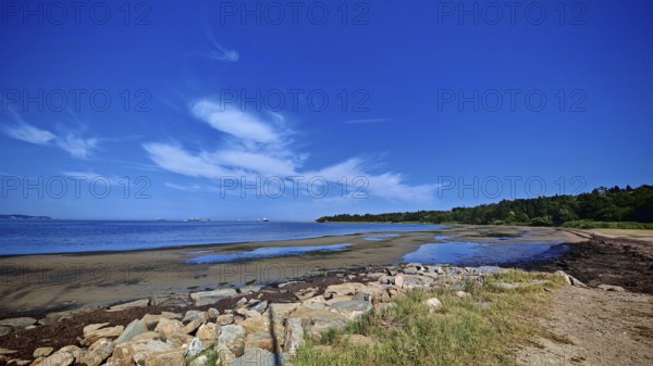 Extensive sandy beach on the coast with blue sky and white clouds, Slovenia