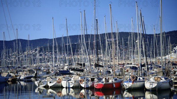 Numerous sailboats in harbor with reflecting masts in calm water against mountain backdrop, Slovenia