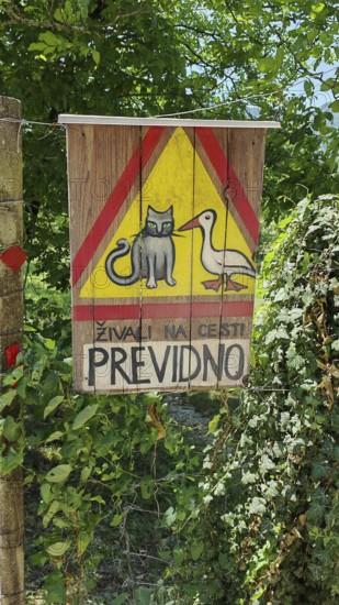 Wooden warning sign with drawing of a cat and duck, surrounded by vegetation, Slovenia