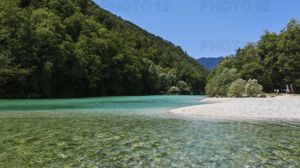 Clear turquoise water on a beach surrounded by green forest, Soca Valley, Slovenia