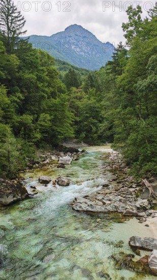 River flows through wooded landscape with views of mountain peaks, peaceful nature, Soca Valley, Slovenia