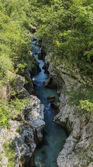 Narrow gorge with turquoise blue water surrounded by thick greenery and rocks, Soca Valley, Slovenia