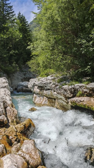 Rustling river between rocks and lush green forest in a mountainous landscape, Soca Valley, Slovenia