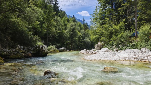 A clear river flows through a wooded area under a sunny blue sky, Soca Valley, Slovenia