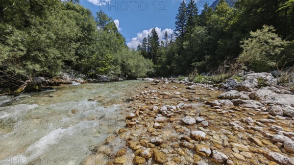 A shallow, clear river with rocks flows through a wooded area, Soca Valley, Slovenia