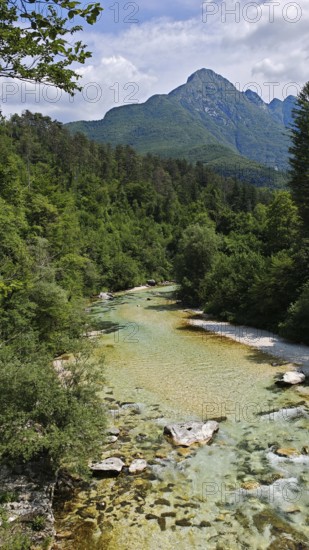 A clear river flows through a lush forest with mountains in the background, Soca Valley, Slovenia