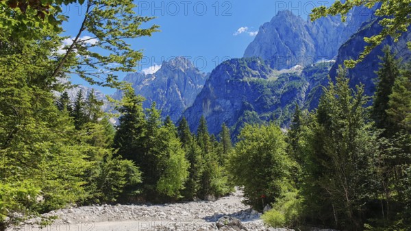 Mountain scene with riverbed and dense forest under clear sky, Slovenia