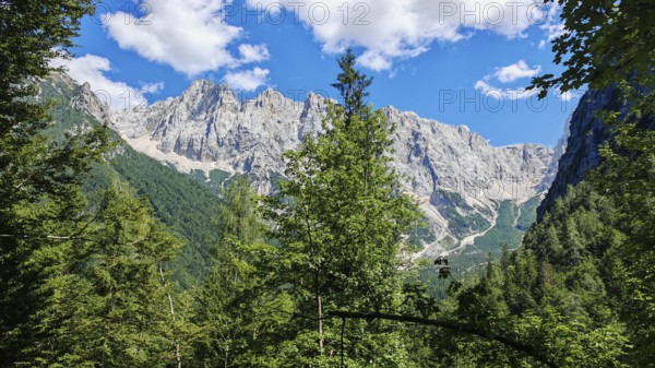 View of a mountain range with forest in the foreground under blue sky, Slovenia