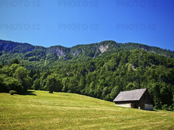 Meadow with a hut in front of a wooded mountain, Slovenia