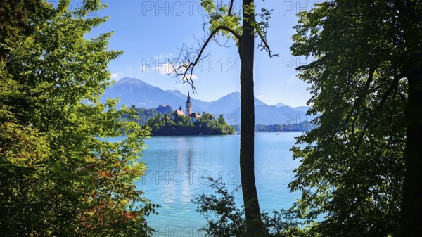 View of an island in Lake Bled with church and mountain panorama, Slovenia