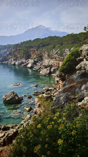 Coast with rocky cliffs and turquoise water under a clear sky with snow-covered Tahtali Dagi in the background, Lycia, Turkey