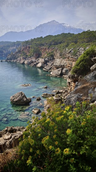 Rocky coast with turquoise water and a snow-capped mountain Tahtali Dagi in the background, surrounded by trees and plants, Lycia, Turkey
