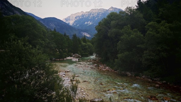 A mountain river flows through a wooded landscape with mountains in the background, Soca Valley, Slovenia