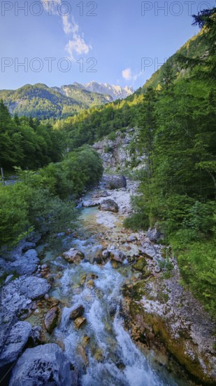 Stream through green forest with mountains in the background, Soca Valley, Slovenia